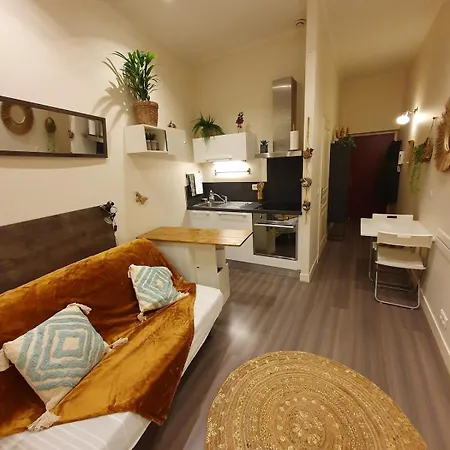 Au Coeur Du Vieux Appartement